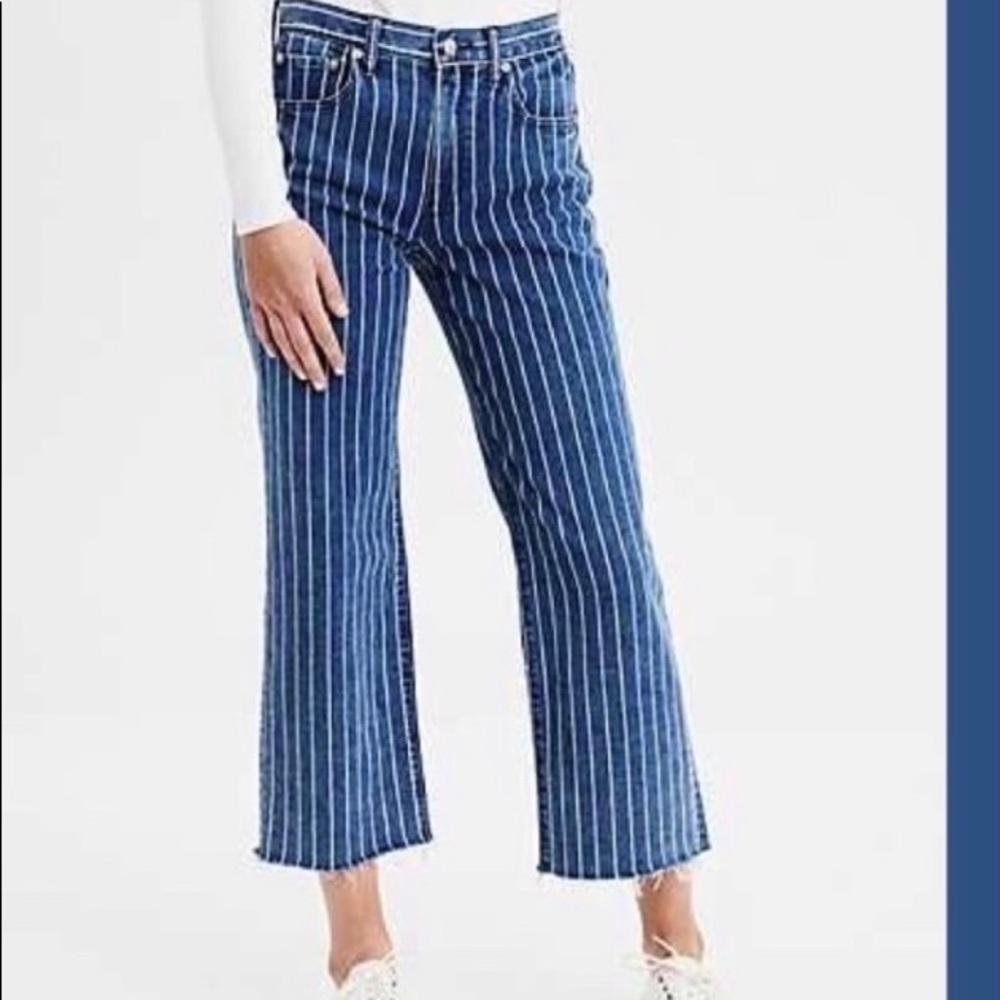 American Eagle Wide Leg Crop Jeans